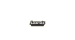 Desktop Screenshot of leanes.com